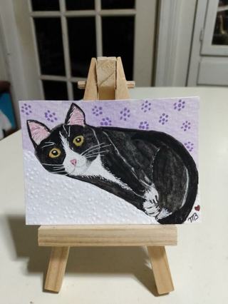 ACEO Original, Watercolor Painting 2-1/2"X 3/1/2" Black & White Cat from Beginning to End by Bond