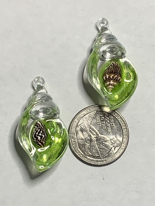 SEASHELL CHARMS~#13~GREEN~LARGE~SET OF 2 CHARMS~GLOW IN THE DARK~FREE SHIPPING!