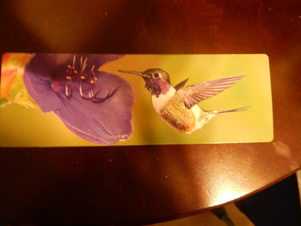 BEAUTIFUL HUMMINGBIRD Bookmark