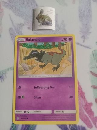 Pokemon Trading Card