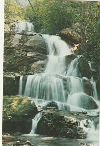 Vintage Unused Postcard: a: Laurel Falls, Smoky Mountains