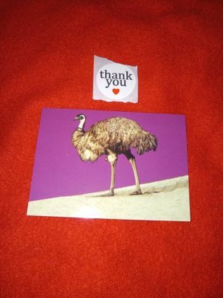 1993 San Diego Zoo CARD