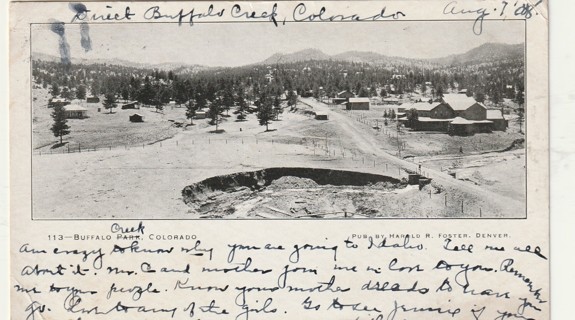 Vintage Used Postcard: (B/W): 1908 Buffalo Creek, CO