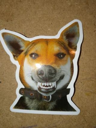 Dog New Cute vinyl sticker no refunds regular mail only Very nice quality!