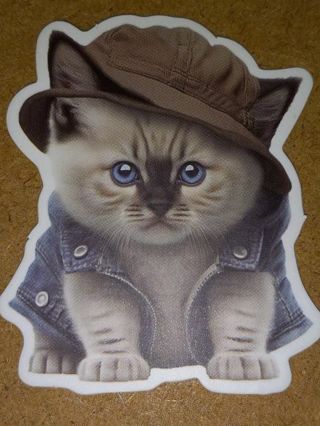 Cat Adorable one nice vinyl sticker no refunds regular mail only Very nice quality!