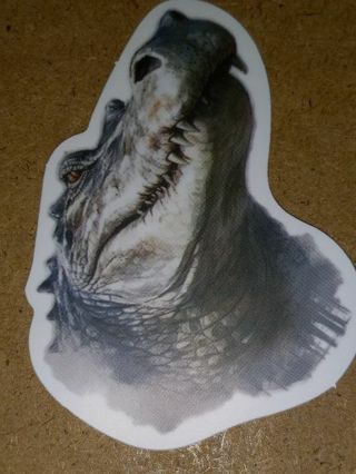 Cool one big vinyl sticker no refunds regular mail only Very nice quality!