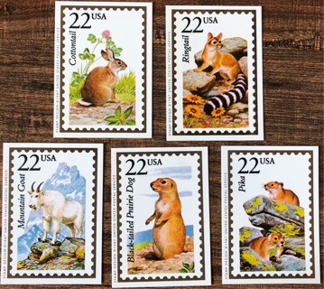 5 Stamp cards and a postcard 