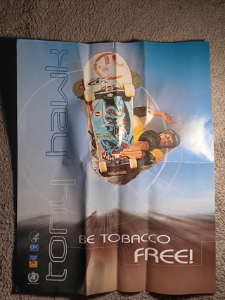 Tony Hawk Poster