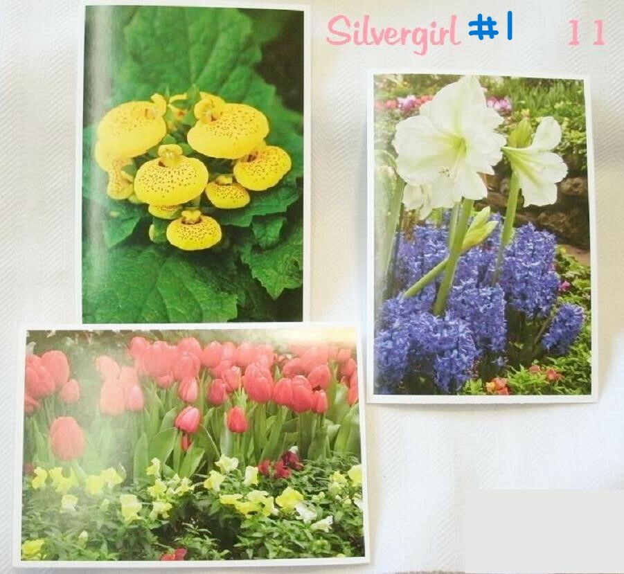 Free: 5 Flower Note Cards w White Envelopes 6 1/2 x 4 1/2" Covenant House #1
