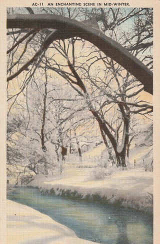 Vintage Unused Postcard: k: Mid Winter Scene