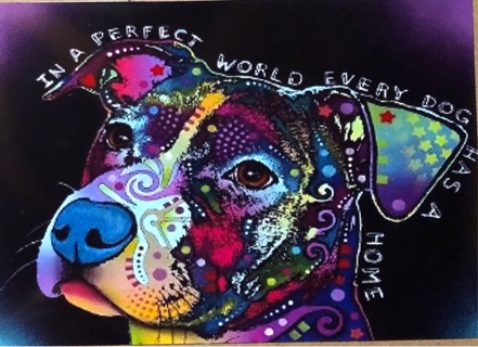 In a perfect world - 3 x 5” MAGNET - GIN ONLY