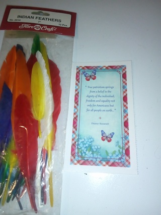 colorful indian feathers and patrotic card