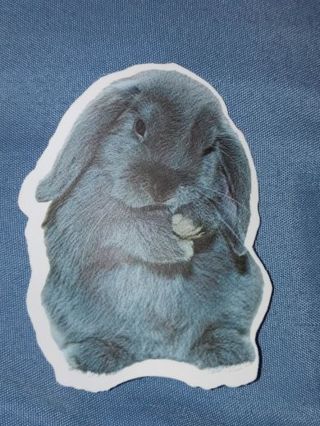 Easter really Cute new vinyl laptop sticker no refunds regular mail only