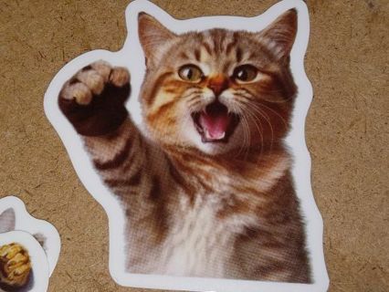 Cat Cute 1⃣ new vinyl sticker no refunds regular mail win 2 or more get bonus