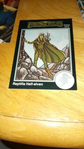 Reptilla Half-elven