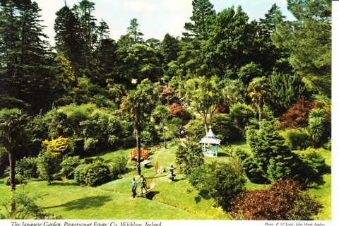 Vintage Postcard Japanese Garden, Ireland