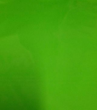 ↗️⭕(2) BRIGHT GREEN Poly Mailers 6x9"⭕