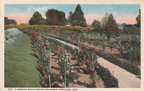 Vintage Used Postcard: (w): 1918 Garden Walk, Portland, OR