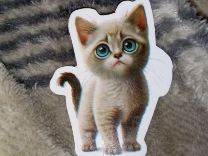 Cat Cute nice 1⃣ vinyl sticker no refunds regular mail only Very nice quality!