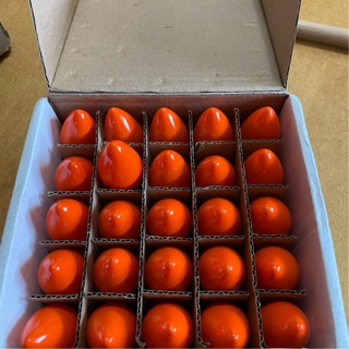 25 orange light bulbs