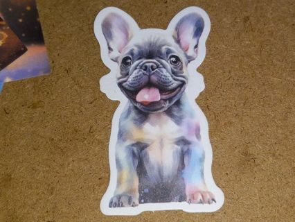 Dog Cute one nice vinyl sticker no refunds regular mail only Very nice quality!!