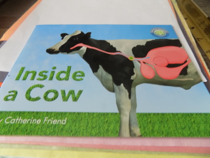 Inside a Cow by Catherine Friend