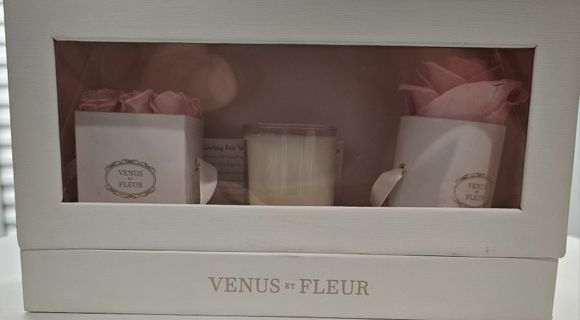 Venus-Fleur Roses