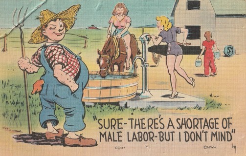 Vintage Unused Postcard: b: Comic, Linen: Shortage of Male Labor