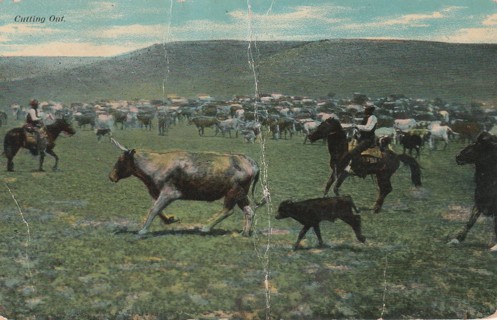 Vintage Used Postcard: (z) 1901 Cutting Out