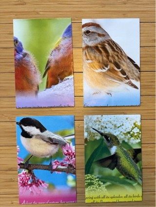 4 Bird Themed Envelopes -  recycled from calendarPages