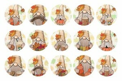 Fall Gnomes Bottle Cap Images