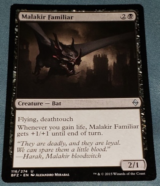 MTG ✨ Malikir Familiar - (U) 116/274 Battle for Zendikar (BFZ) ✨ Magic the Gathering (2015)