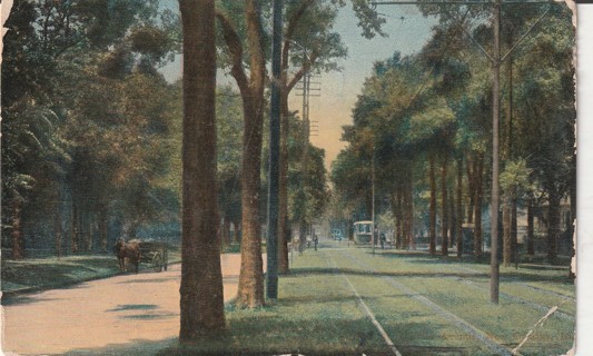 Vintage Used Postcard: (d): 1911 New Orleans, LA