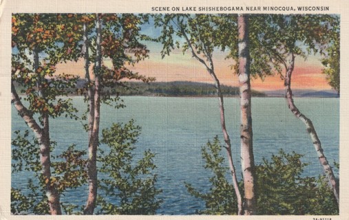 Vintage Used Postcard: gin z: 1946 Scene on Lake Shishebogama, WI