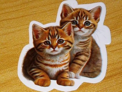 Cat Cute one vinyl sticker no refunds regular mail Win 2 or more get bonus