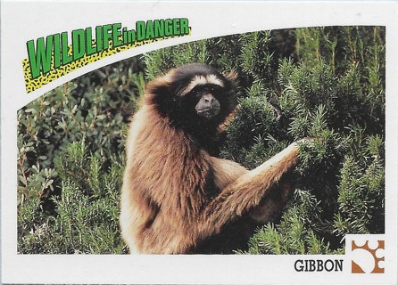  1992 Panini Wildlife in Danger #44 Gibbon