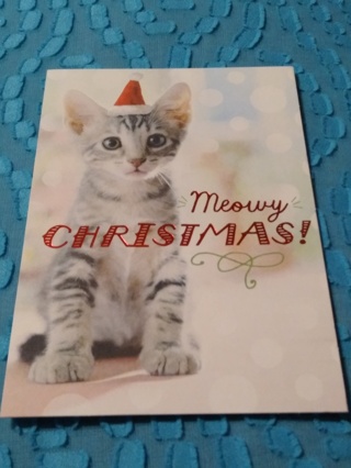 Holiday Card - meowy CHRISTMAS!