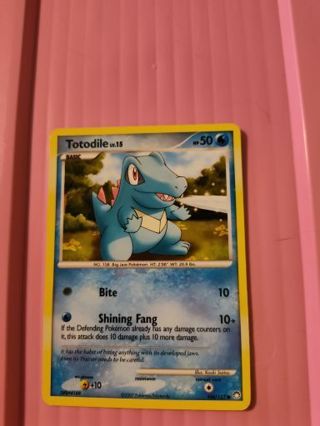 Totodile Pokemon Card