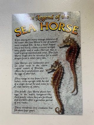 The Legend of the Sea Horse