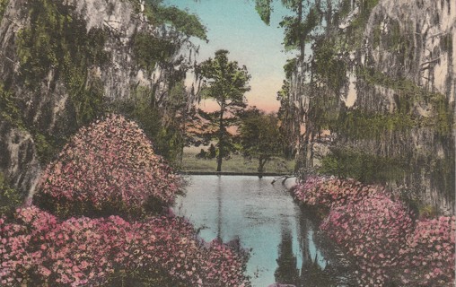 Vintage Used Postcard: GIN: 1946 Middleton Place Gardens, Charleston, SC