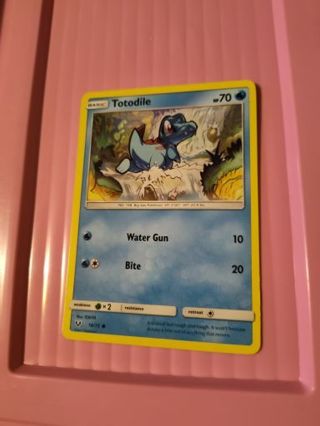 Totodile Pokemon Card