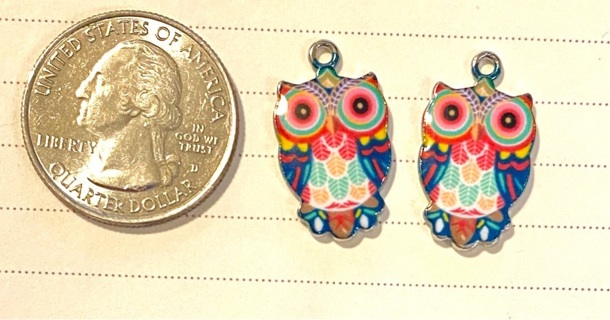 2 pc enamel owl charms