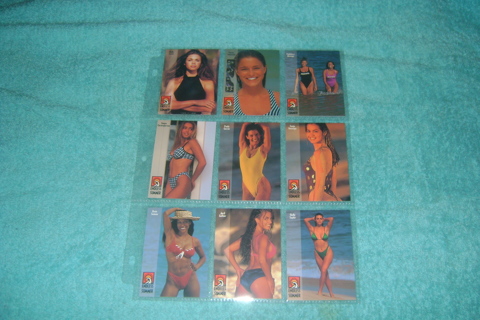 Sexy Pin Up girls MINT Trading cards in Sleeve