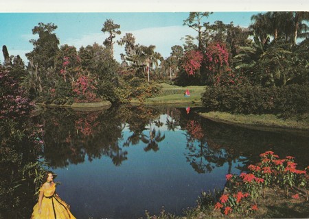 Vintage Unused Postcard: n: Blossom Time, Florida's Cypress Gardens