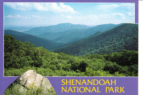 Vintage Postcard Shenandoah National Park, VA