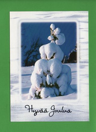 used Postcard from Finland:  snowy tree