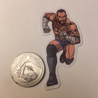 CM Punk Sticker read description before bidding