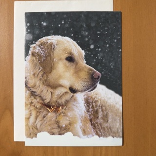 Snowy Dog Christmas Card 