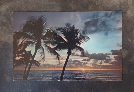 Florida Sun On The Horizon Postcard 