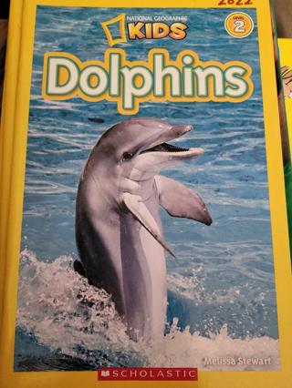 National Geographic Dolphins #3